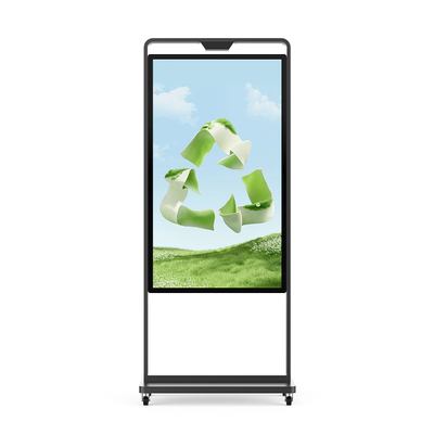 Vitrine 43